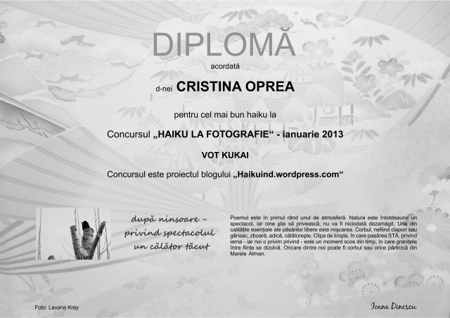 diploma OPREA complet